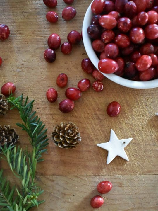 How to Dry Cranberries for Decorating Rocky Hedge Farm