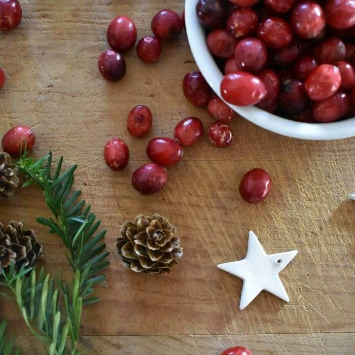 How to Dry Cranberries for Decorating