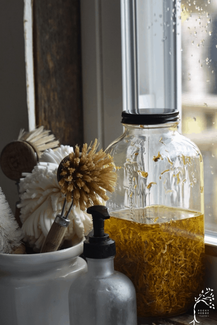 Easy DIY Calendula Oil Recipe