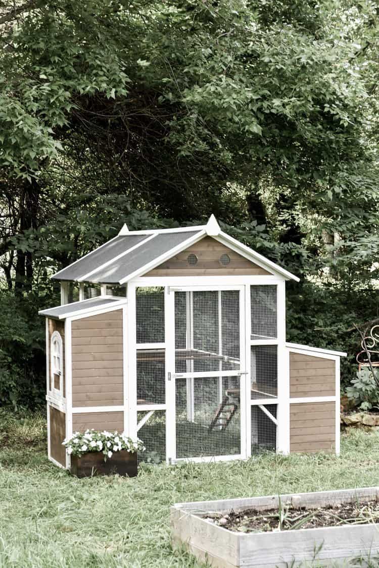 Backyard Farmhouse Chicken Coop