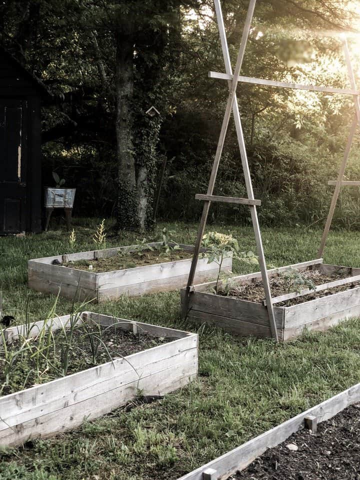 Raised Bed Vegetable Garden Tour