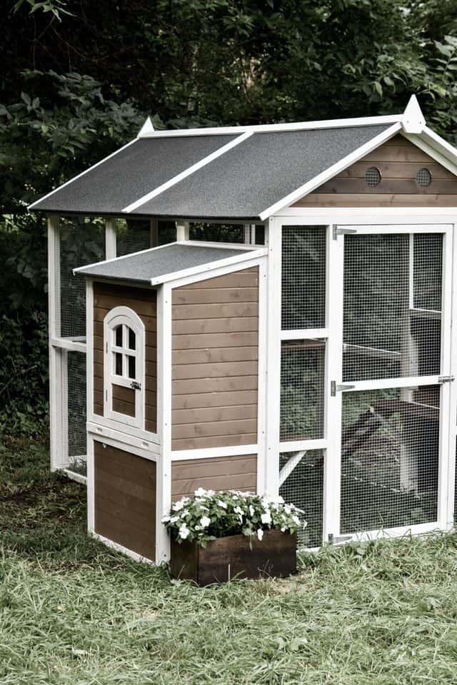 Backyard Farmhouse Chicken Coop - Rocky Hedge Farm