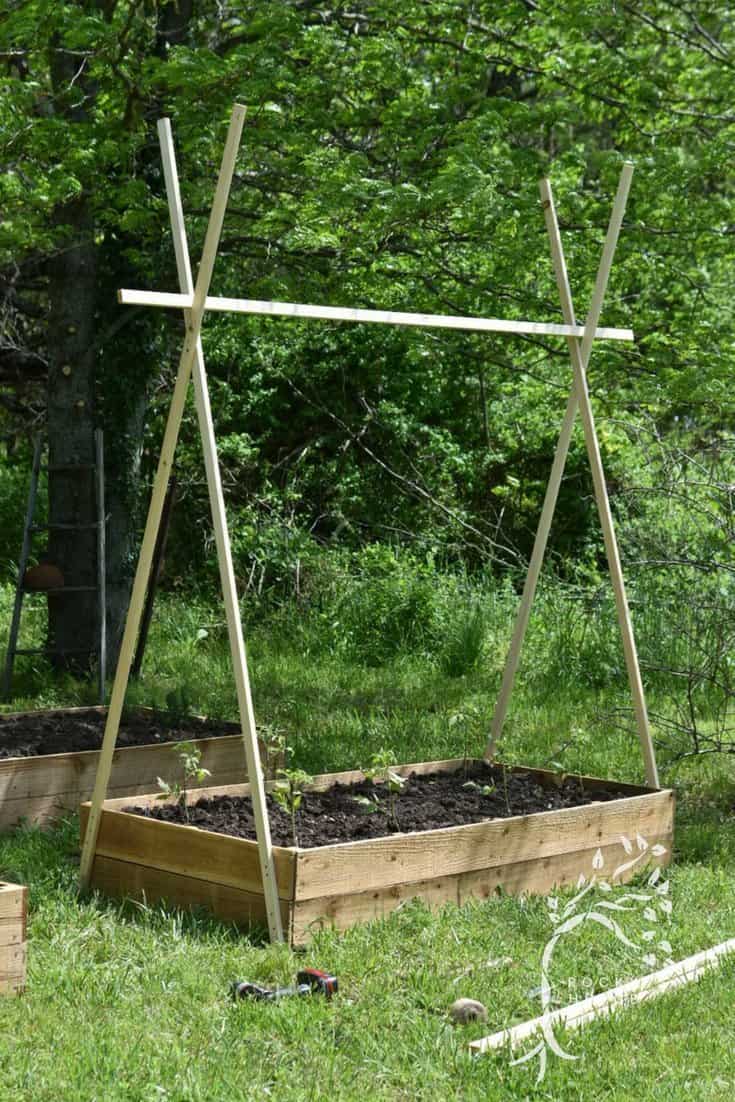 Easy DIY String Tomato Trellis - Rocky Hedge Farm