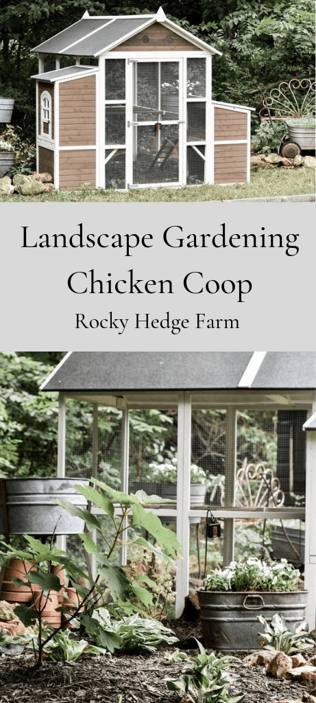 Landscape Gardening Around The Chicken Coop Rocky Hedge Farm