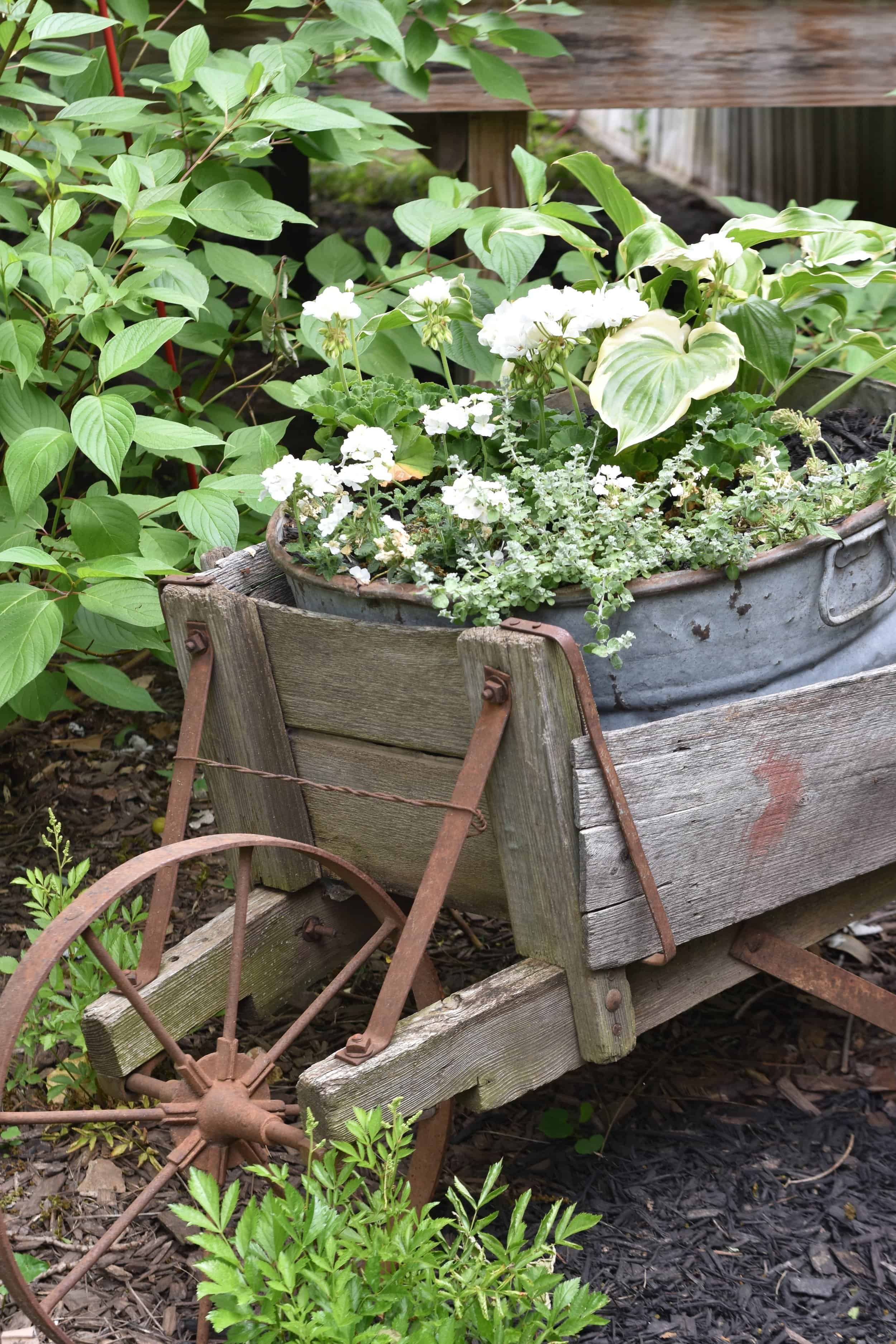 Galvanized Bucket Planters For The Garden Rocky Hedge Farm