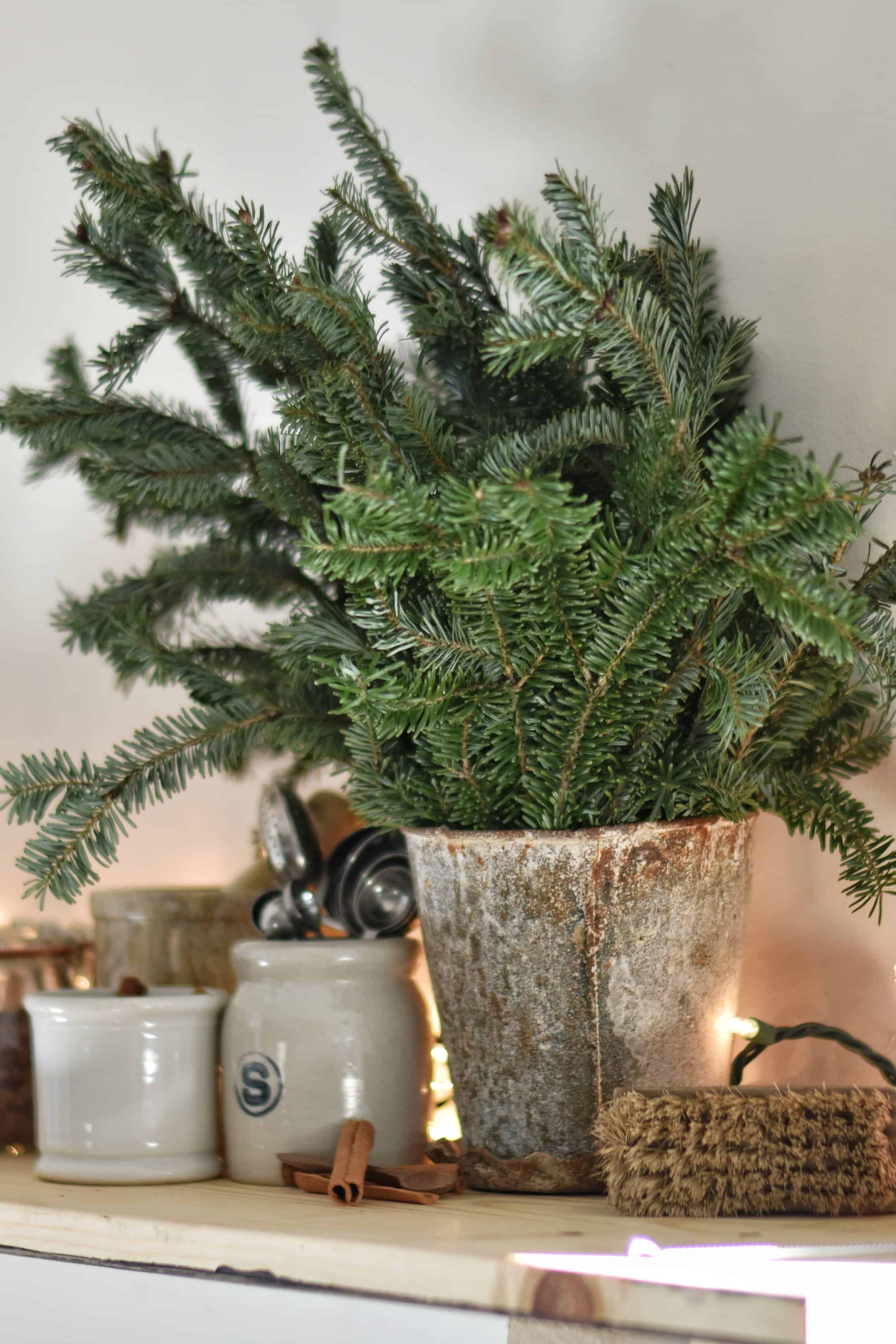 How to Keep Your Christmas Greenery Fresh - Rocky Hedge Farm