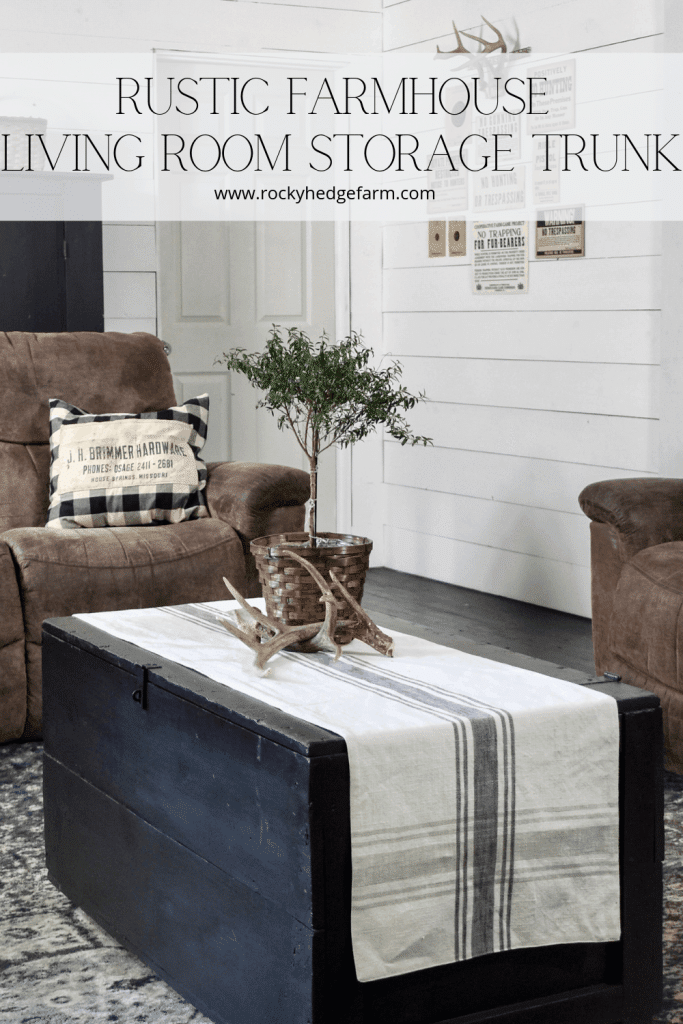 Rustic Farmhouse Living Room Storage Trunk