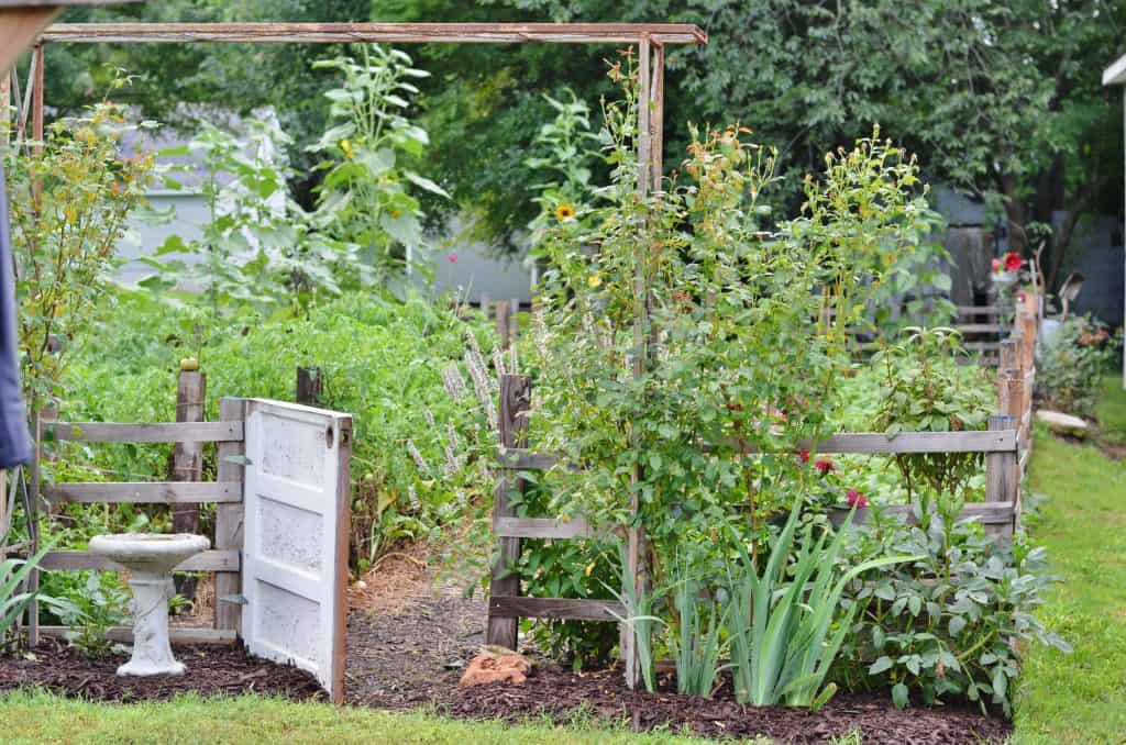 Creating a Beautiful Vegetable Garden - Rocky Hedge Farm