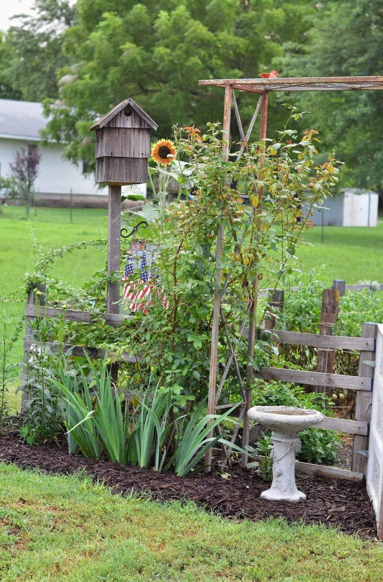 How to Start a Garden from Scratch for Beginners