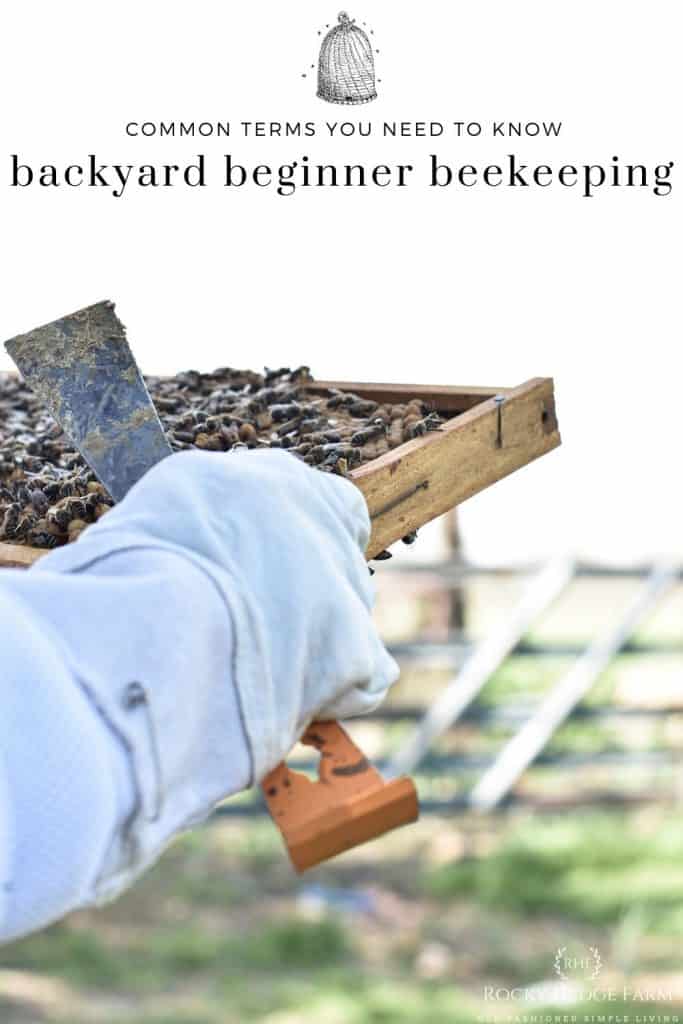 Backyard Beekeeping Terms