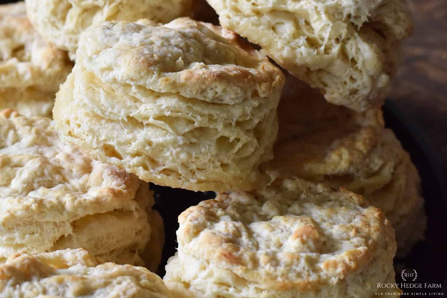 old-fashioned-buttermilk-biscuits-recipe-rocky-hedge-farm