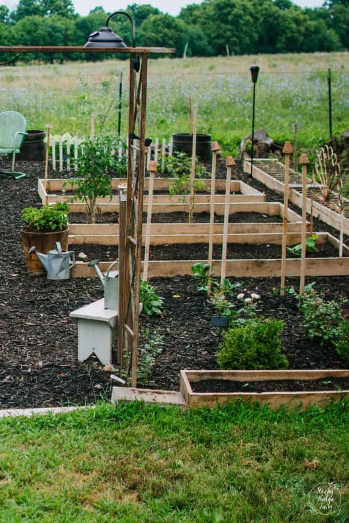 4x8 raised vegetable garden beds