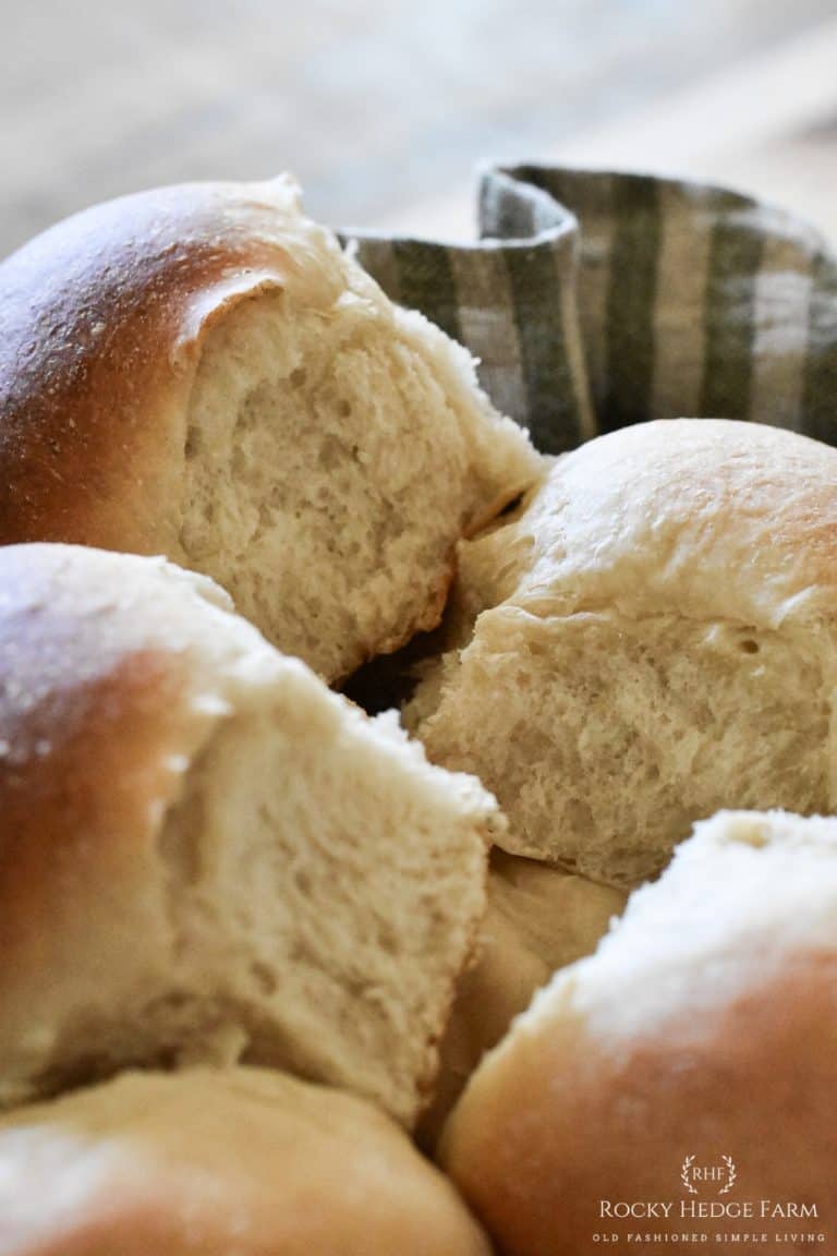 Soft Sourdough Dinner Rolls Recipe - Rocky Hedge Farm