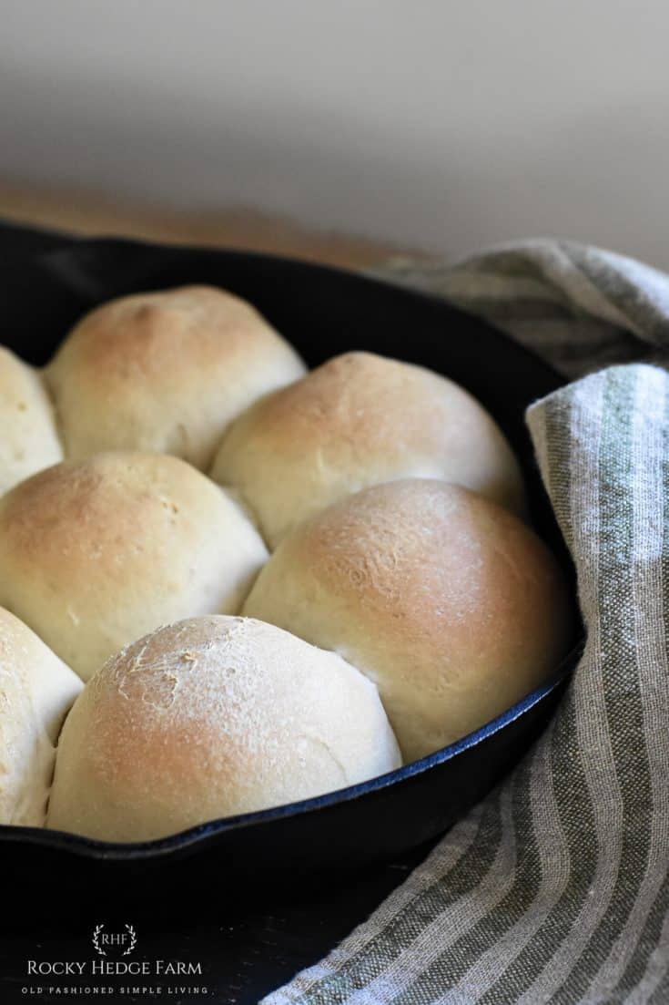 Soft Sourdough Dinner Rolls Recipe Rocky Hedge Farm