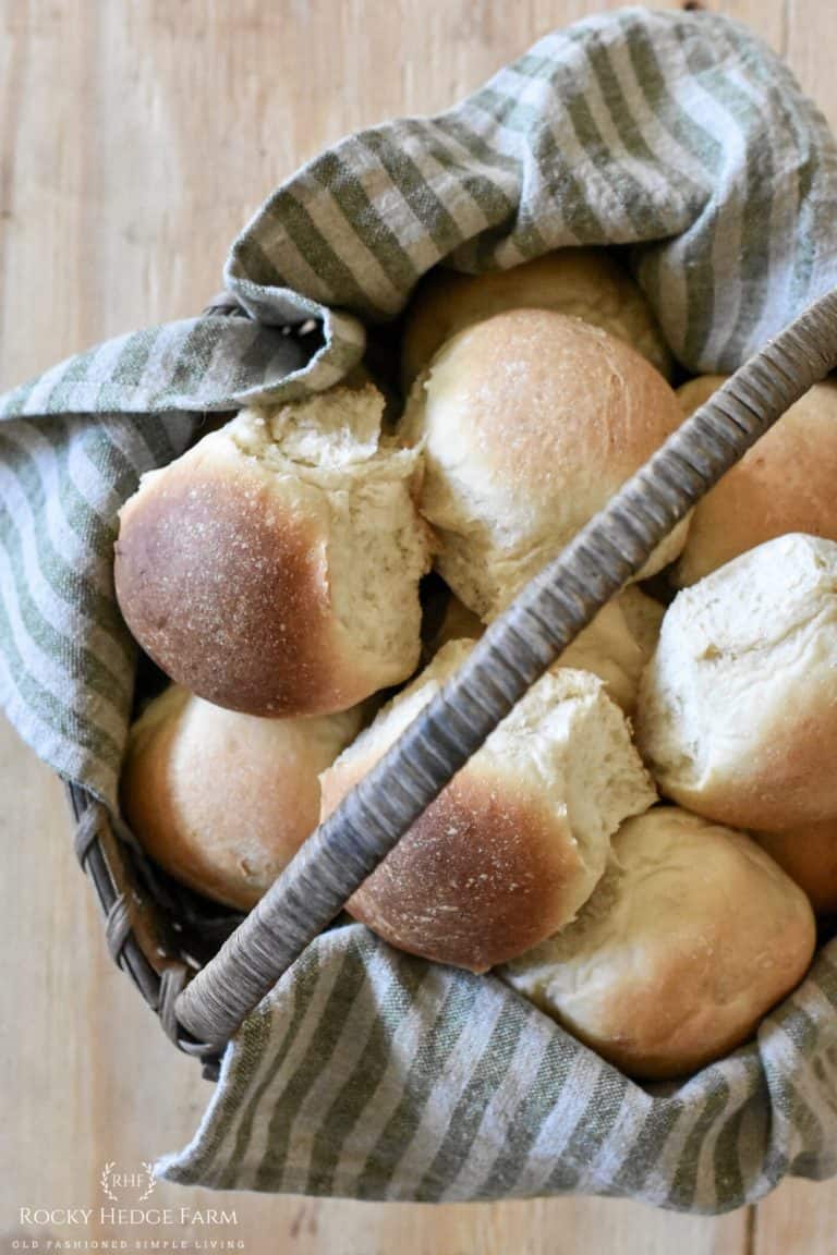 sourdough rolls