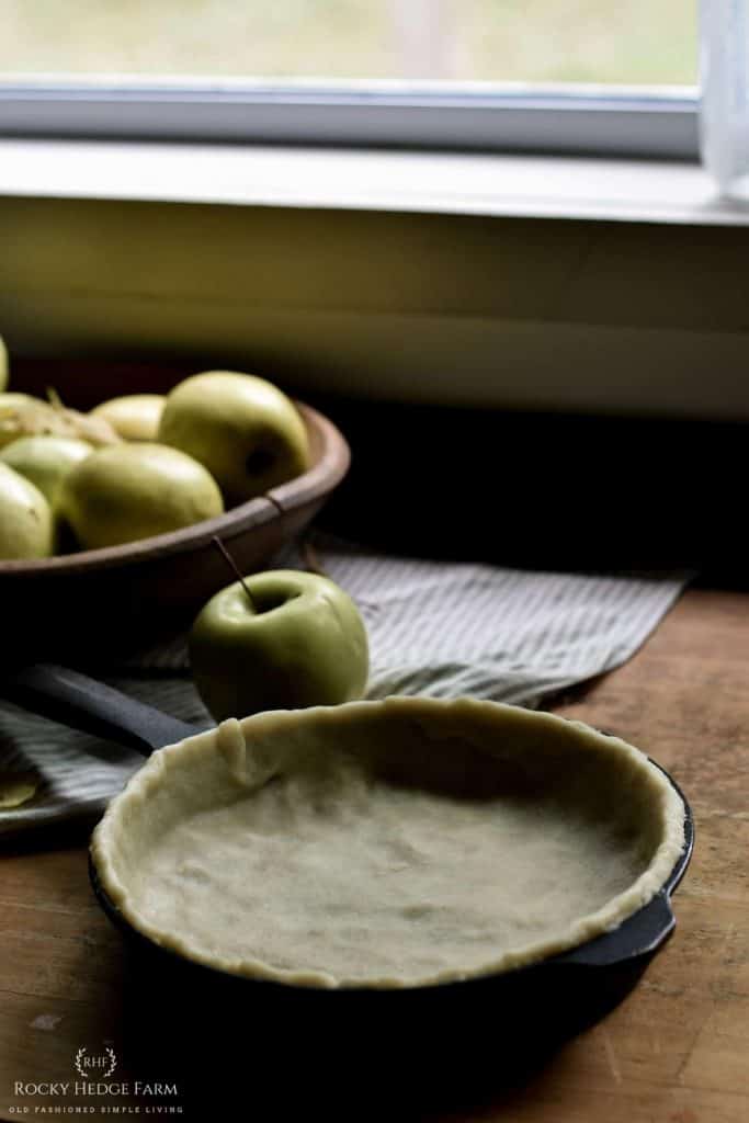 Favorite Homemade Apple Pie