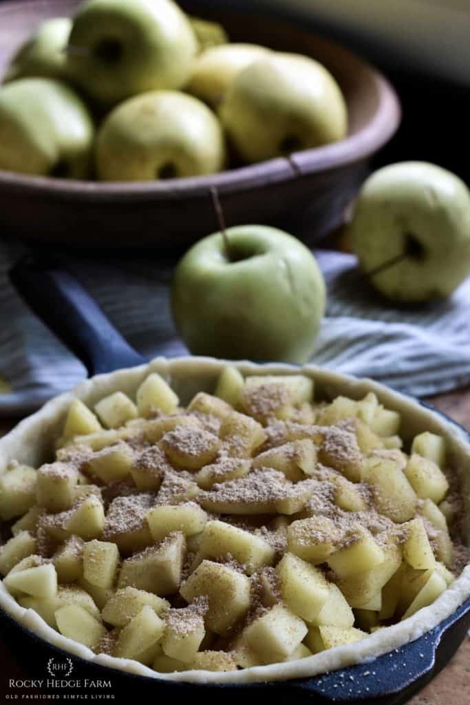 Apple Pie Filling for Cast Iron Skillet