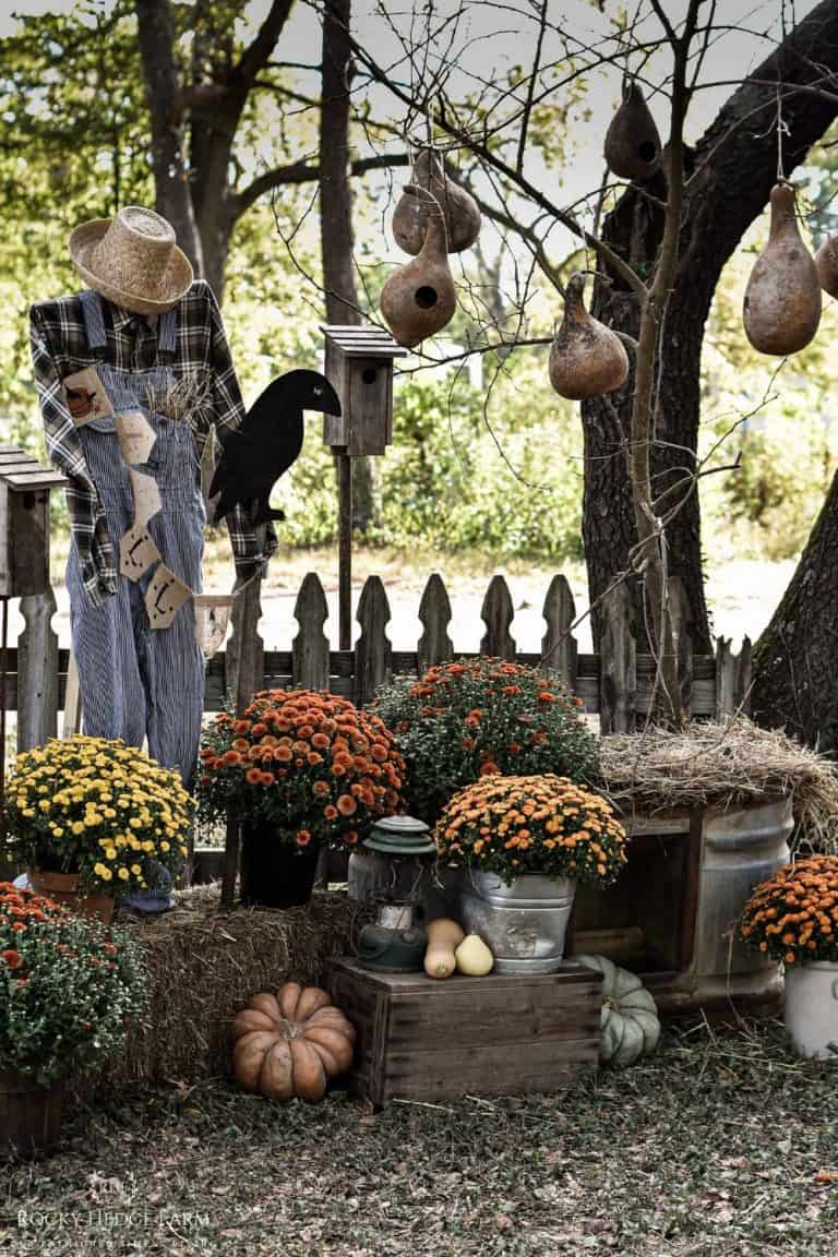 Outdoor Fall Yard Ideas