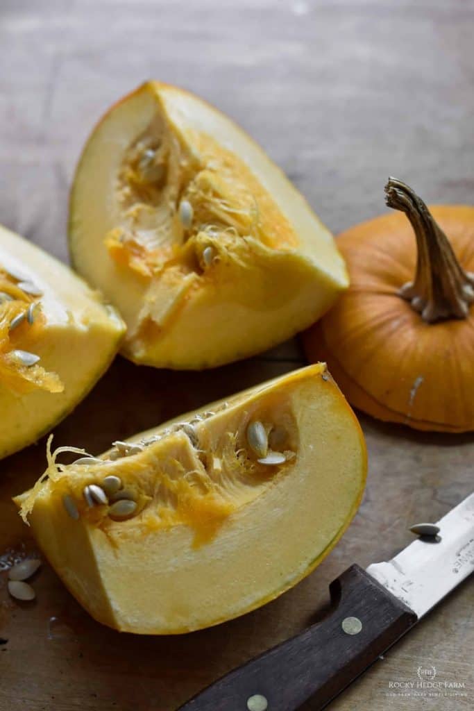 From Scratch Pumpkin Recipe