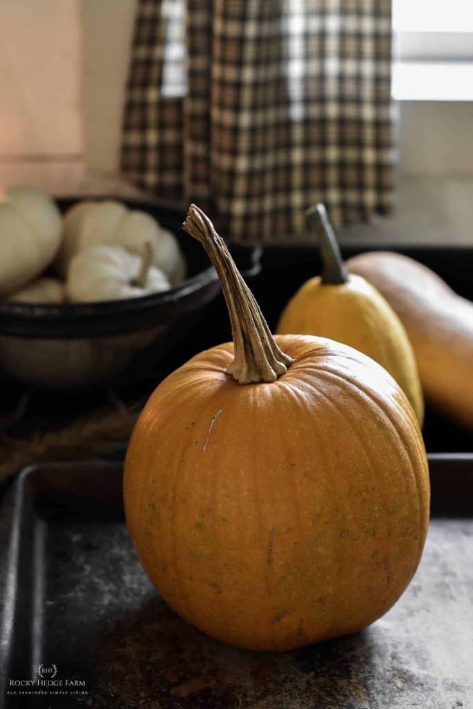 Pumpkin Puree for Pie