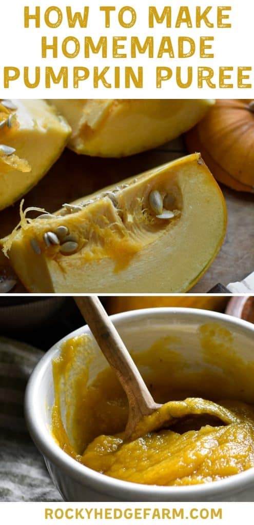 how to roast a pumpkin