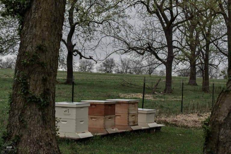 Parts of a Langstroth Beehive Structure