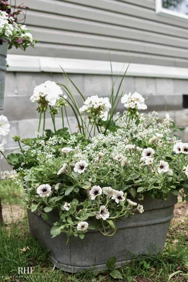 DIY Wash Tub Planter