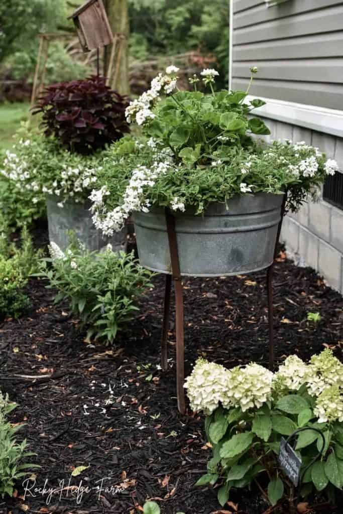 wash tub planter ideas