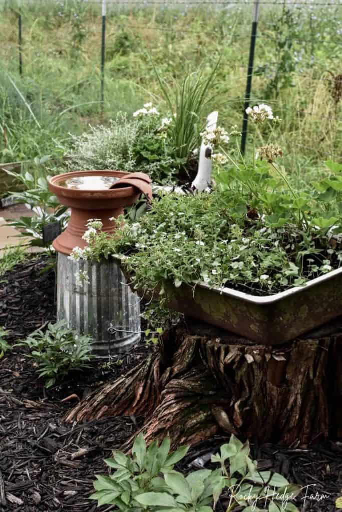 sink planter for flowers