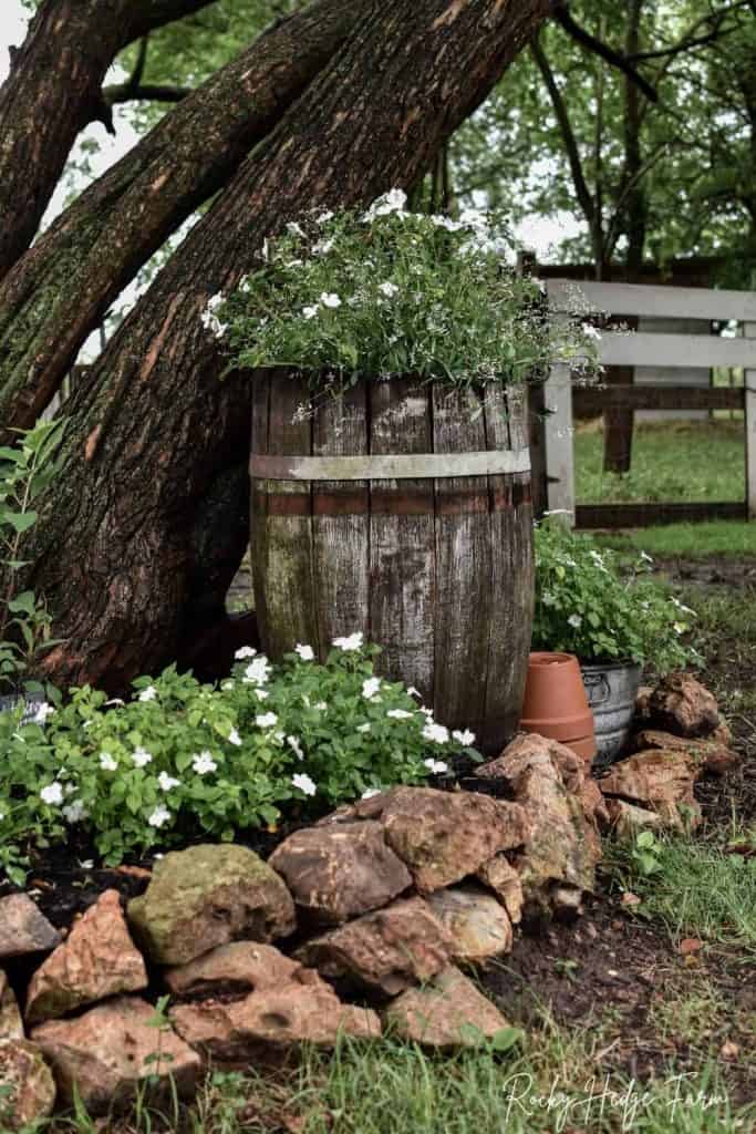 barrel planter for flowers