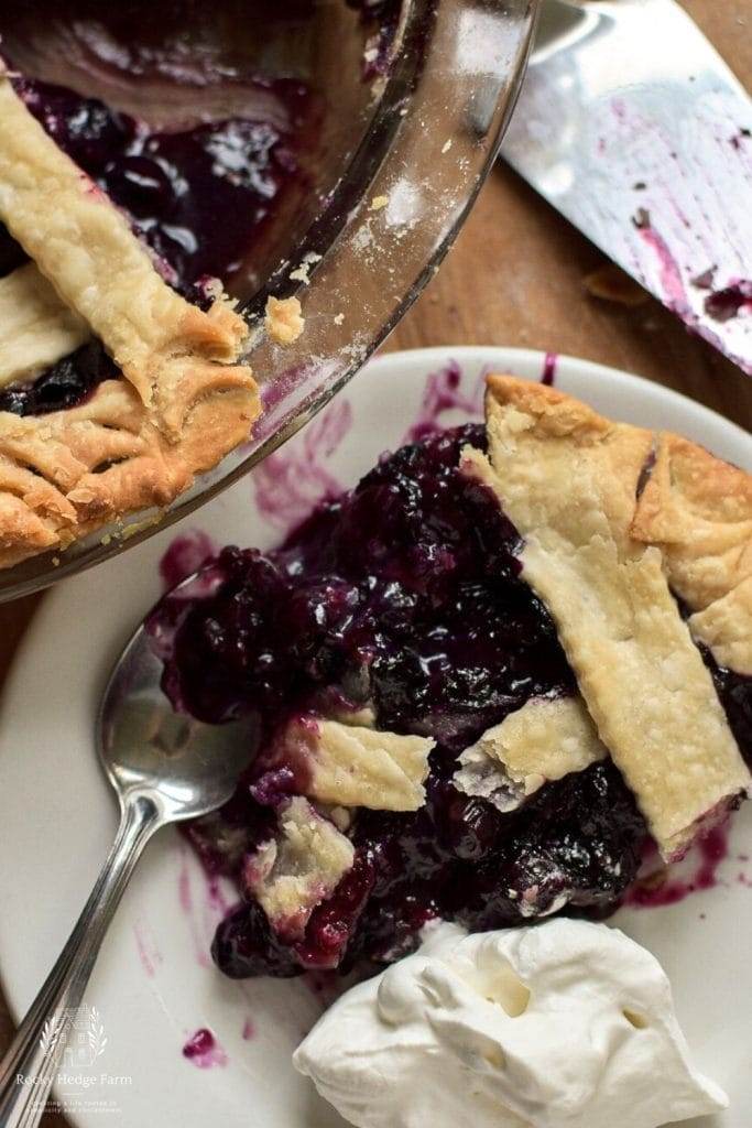 A slice of blueberry pie on a plate.