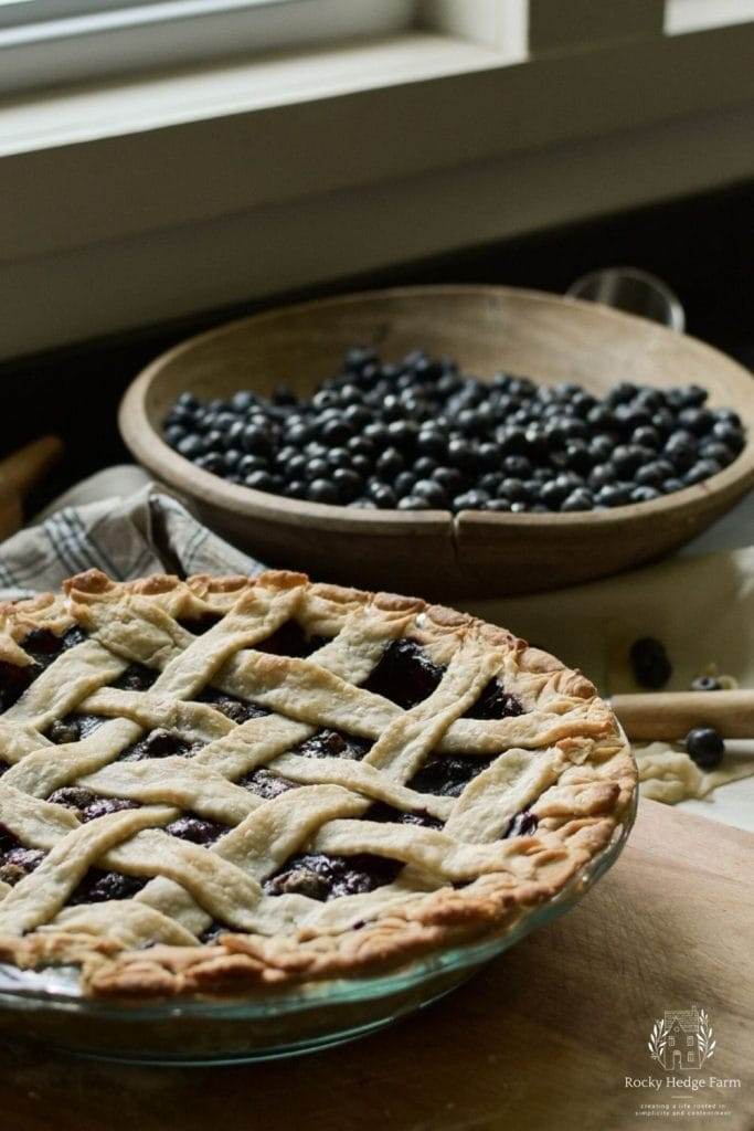 Freshly made blueberry pie in a pie dish