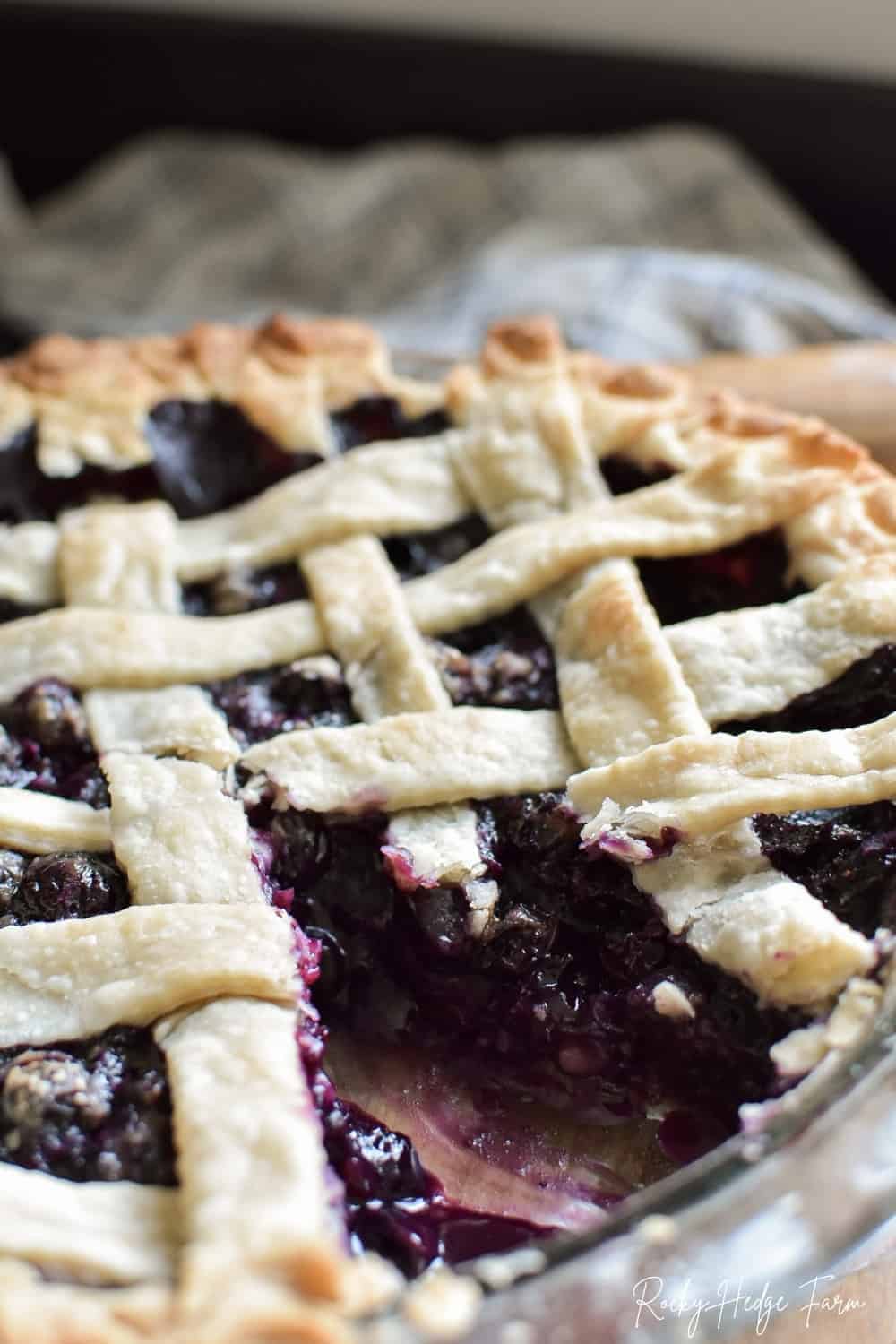 Old Fashioned Blueberry Pie Recipe (Fresh, Homemade) - Rocky Hedge Farm