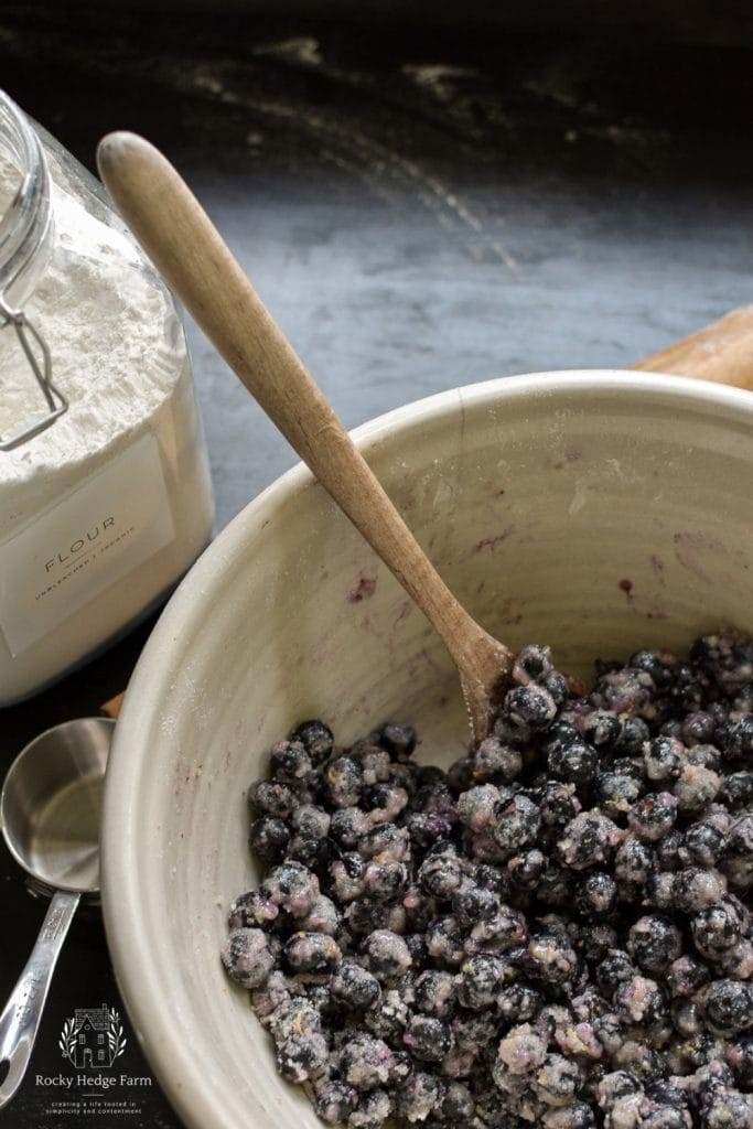 A bowl filled with blueberry pie filling.