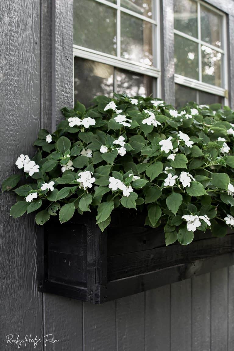 DIY Simple Window Box Planter