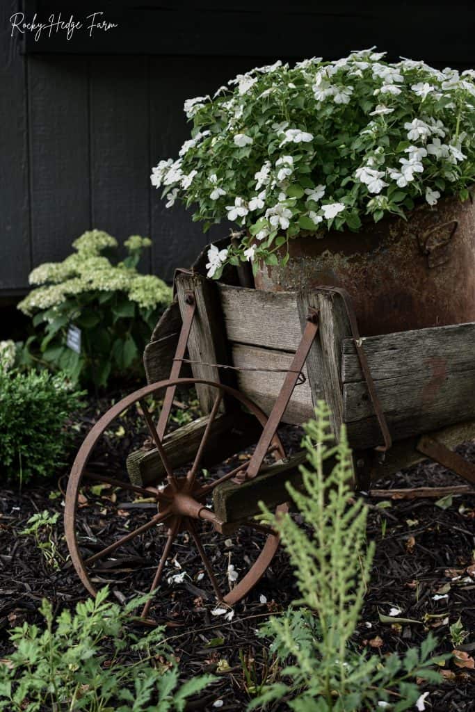 how to plant in washtub planter