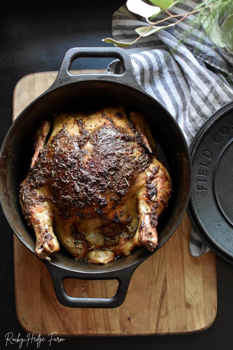 dutch oven whole chicken recipes