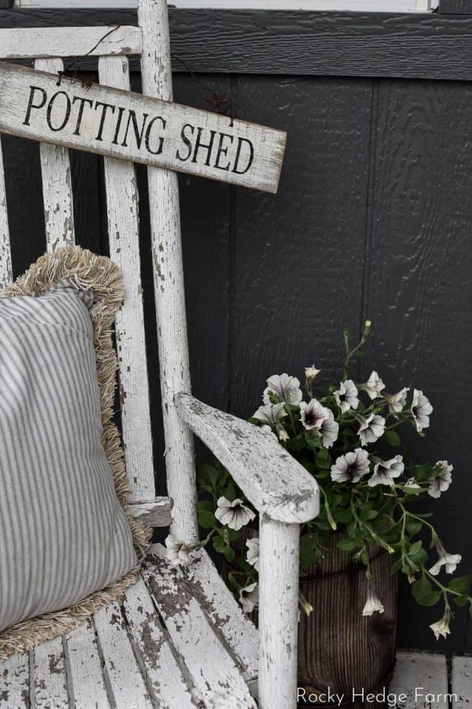 Hanging Petunia Basket