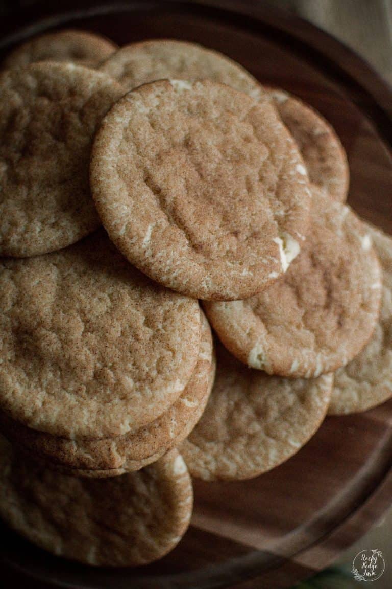 Snickerdoodle Recipe Without Cream of Tartar