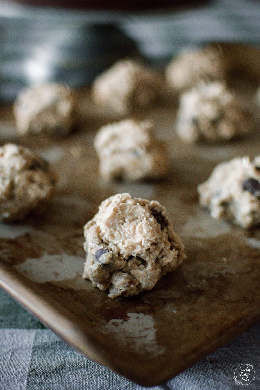 Honey Oatmeal Cookies Rocky Hedge Farm