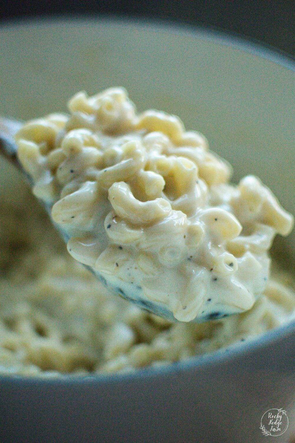 homemade macaroni and cheese on a wooden spoon