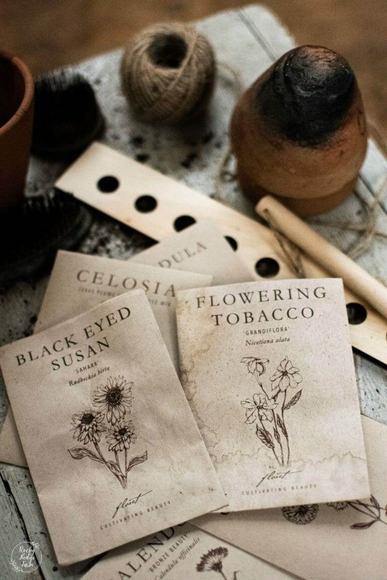 Best Places To Buy Cutting Flower Seeds Online