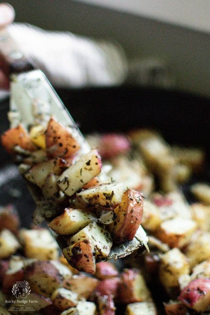 A close-up of potatoes and onions sizzling on a spatula