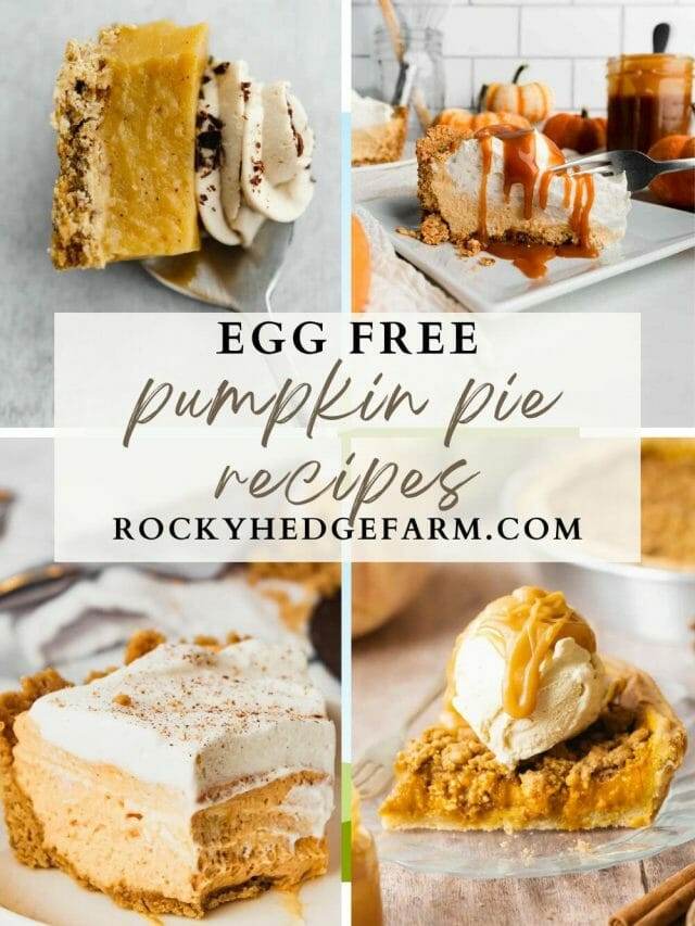 cropped-egg-free-pumpkin-pie-recipes-14.jpg