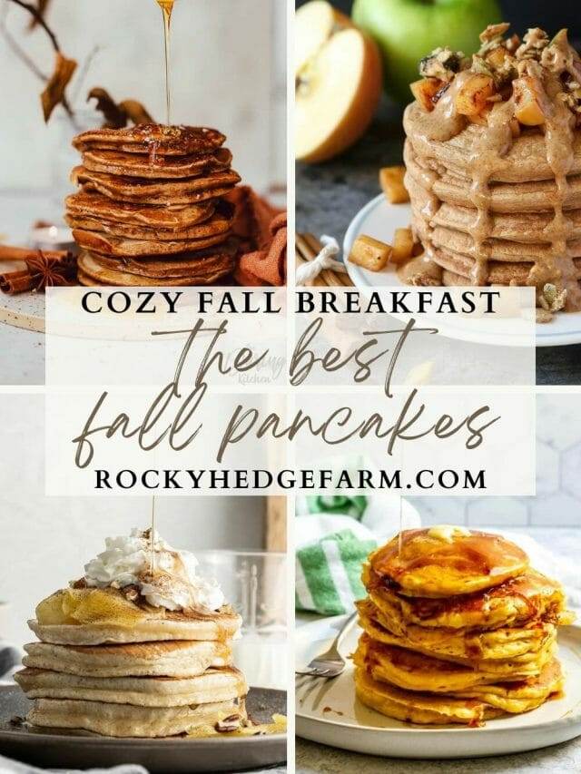 cropped-fall-pancake-recipes-26.jpg