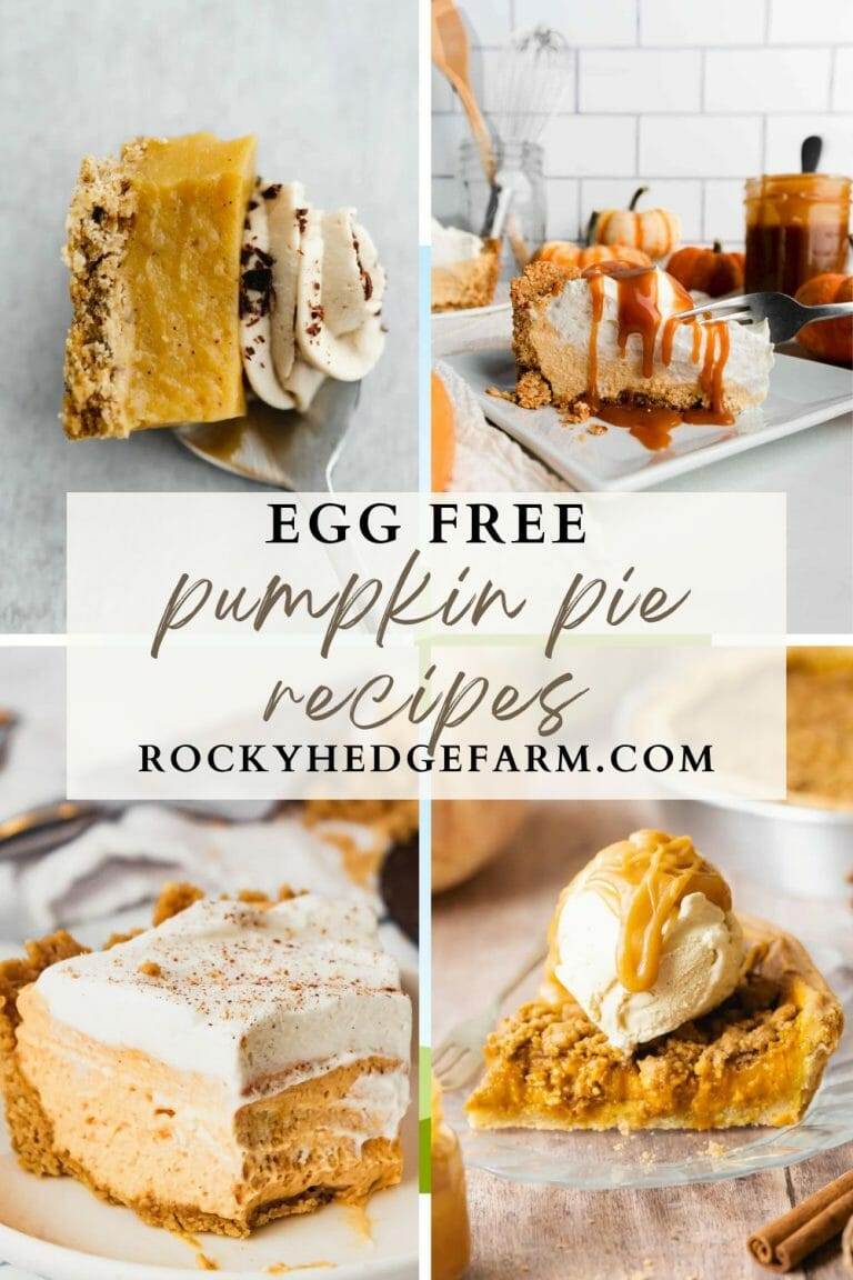 Egg Free Pumpkin Pie Recipes: 13 Delicious Ideas