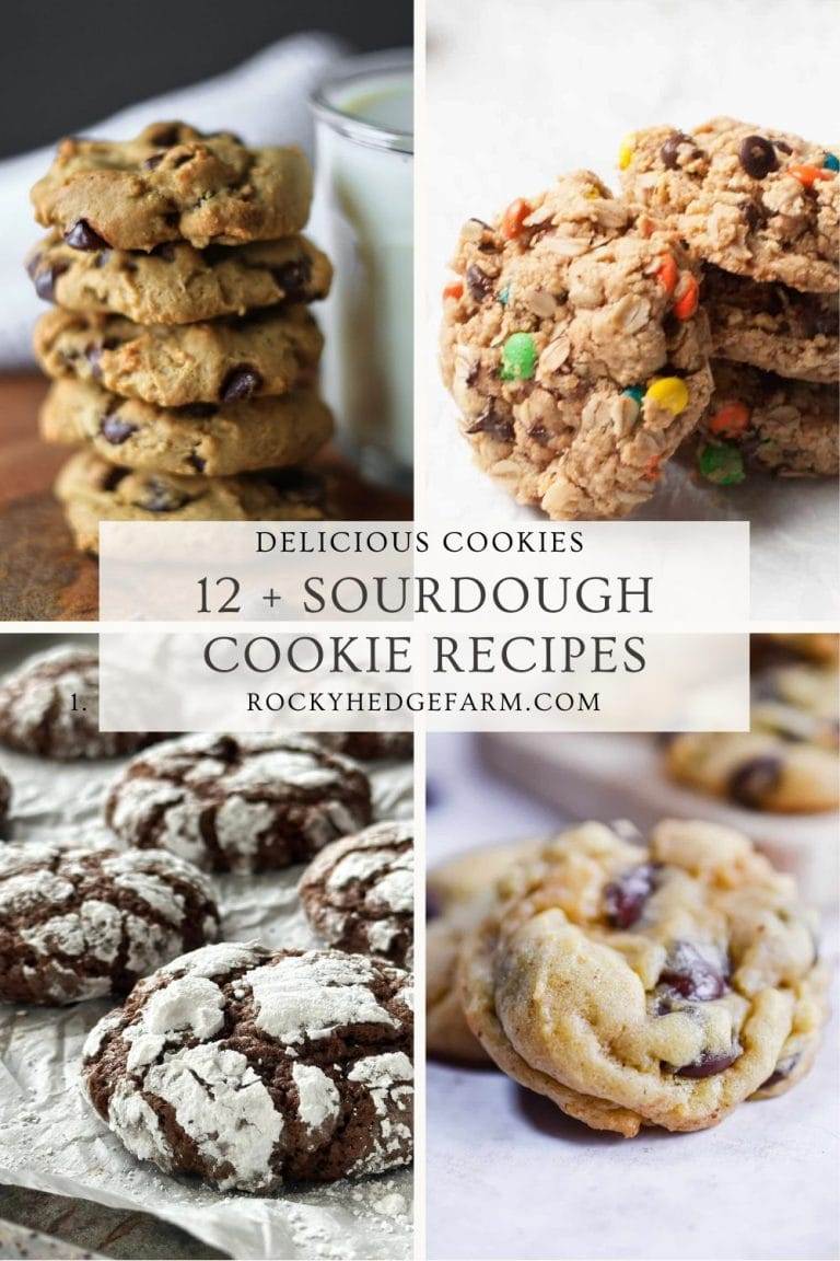 12 + Sourdough Cookie Recipes You Will Love