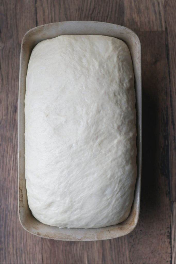 bread dough that has risen in a loaf pan