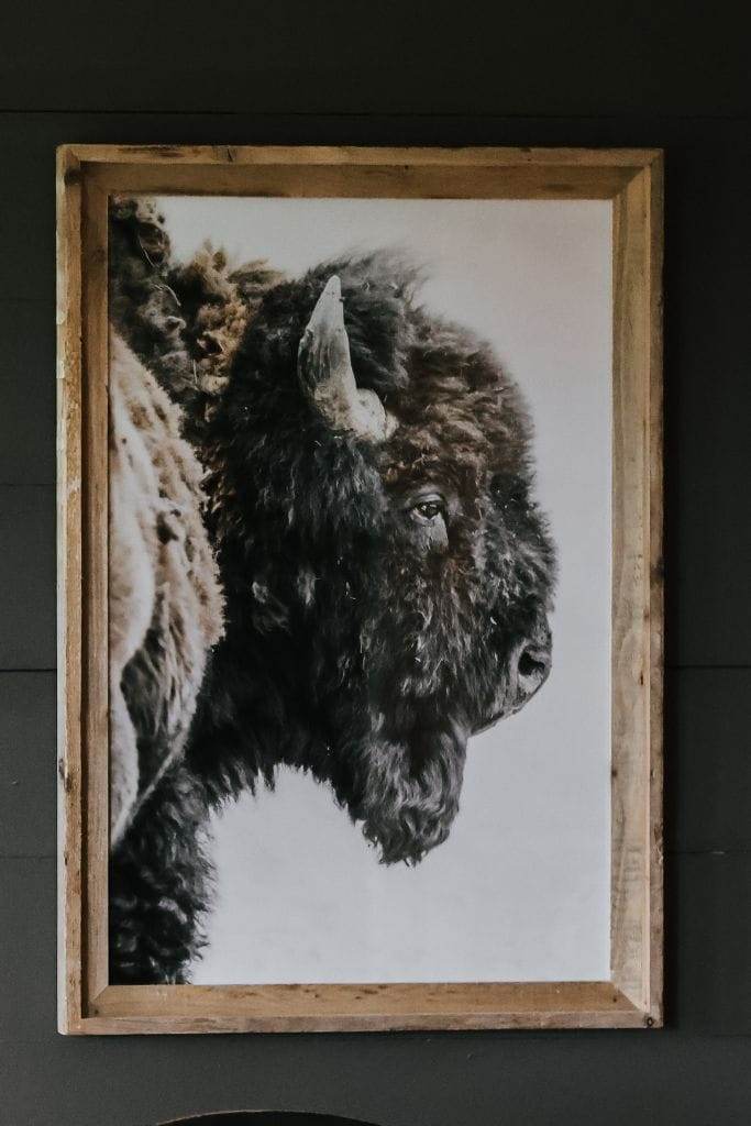 Close-up of a detailed bison print by Jeff Brenner Photography, showcasing the texture and earthy tones.