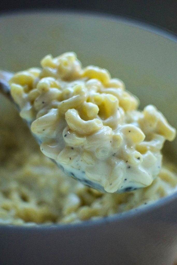 homemade mac and cheese on a spoon